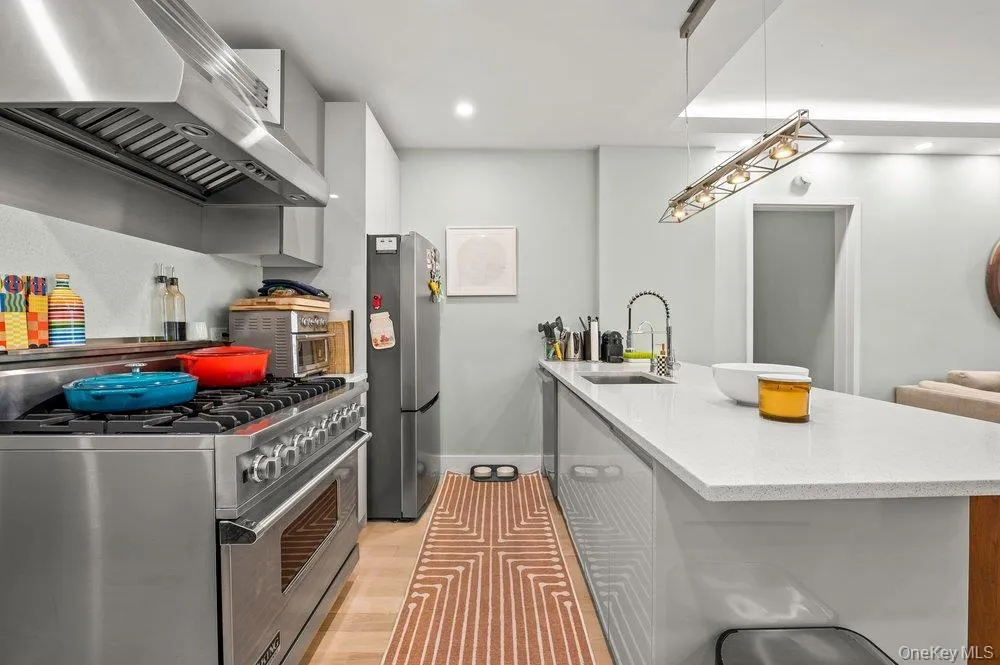 226 50th Avenue #3D Long Island City, NY 11101