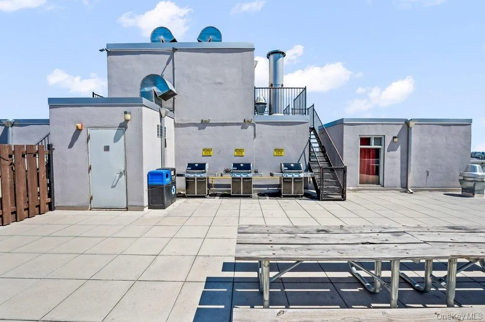 226 50th Avenue #3D Long Island City, NY 11101