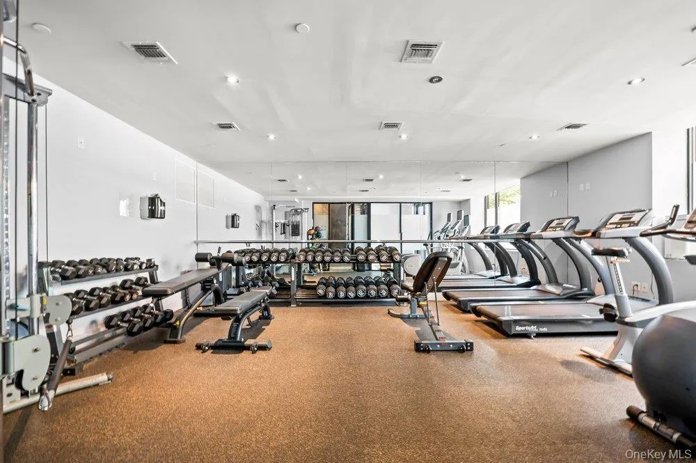 226 50th Avenue #3D Long Island City, NY 11101