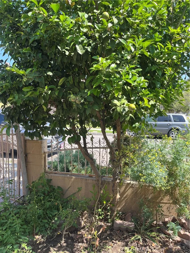 1229 E 59th Long Beach, CA 90805