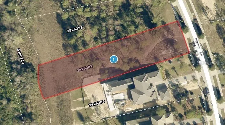 16401 PENDIO DRIVE Montverde, FL 34756