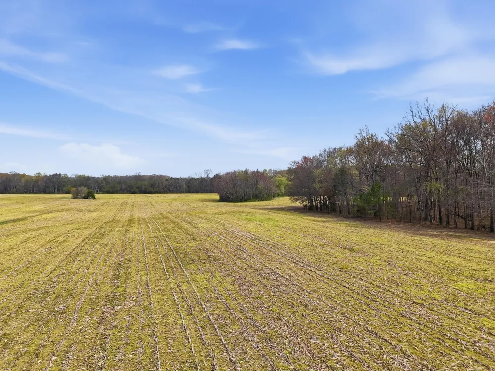0 Bowling Alley Road Manchester, TN 37355