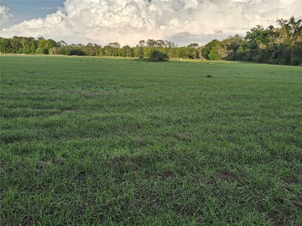 1613 NE 12TH AVENUE Sumterville, FL 33585