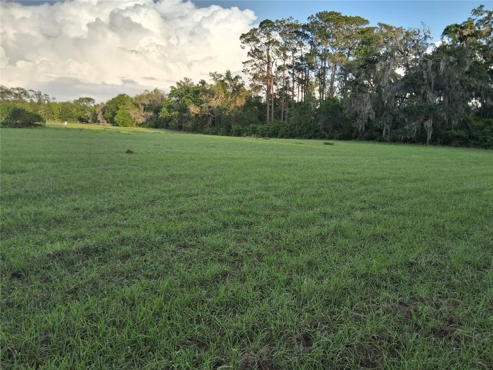 1613 NE 12TH AVENUE Sumterville, FL 33585