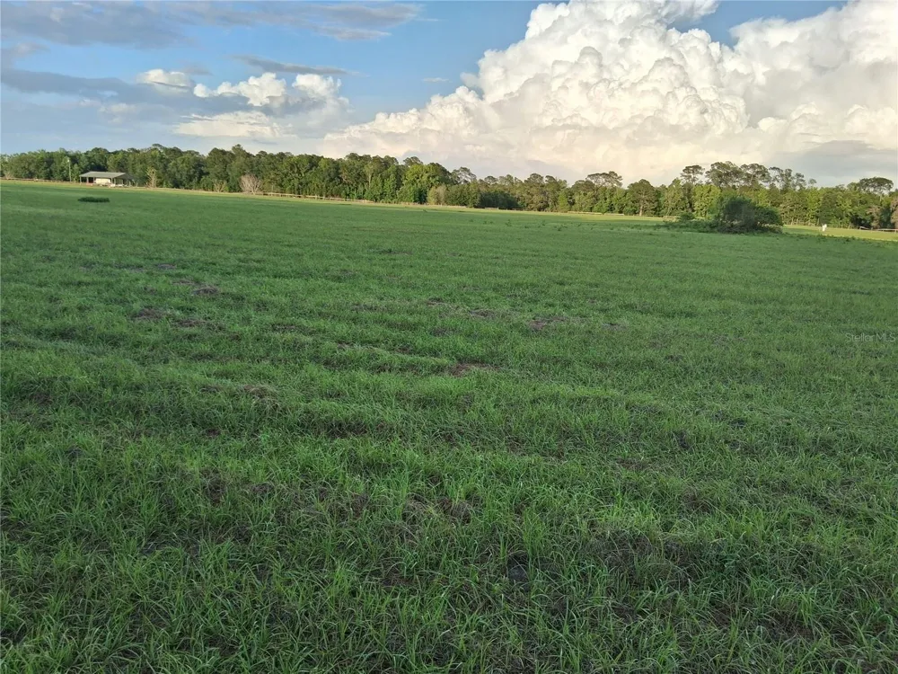 1613 NE 12TH AVENUE Sumterville, FL 33585