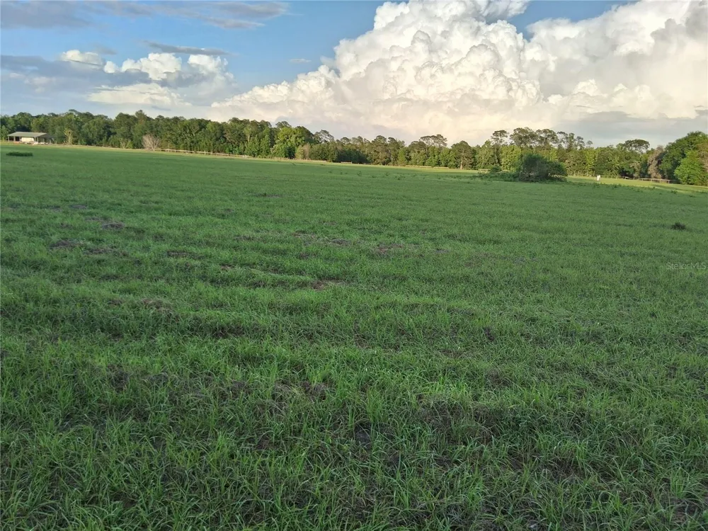 1613 NE 12TH AVENUE Sumterville, FL 33585
