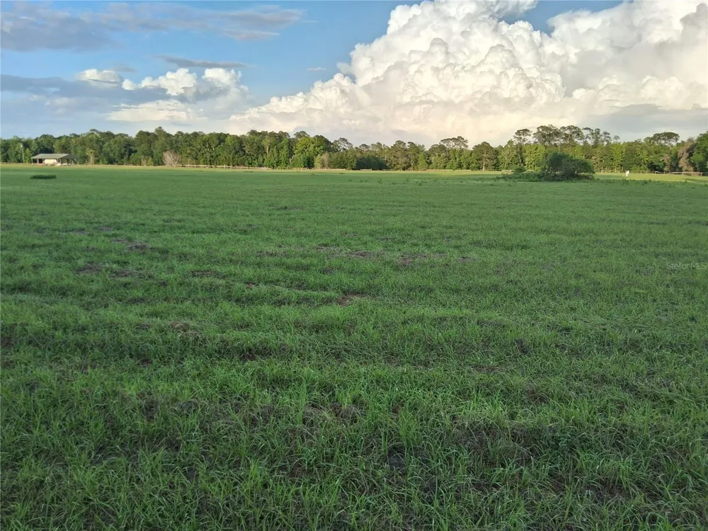 1613 NE 12TH AVENUE Sumterville, FL 33585