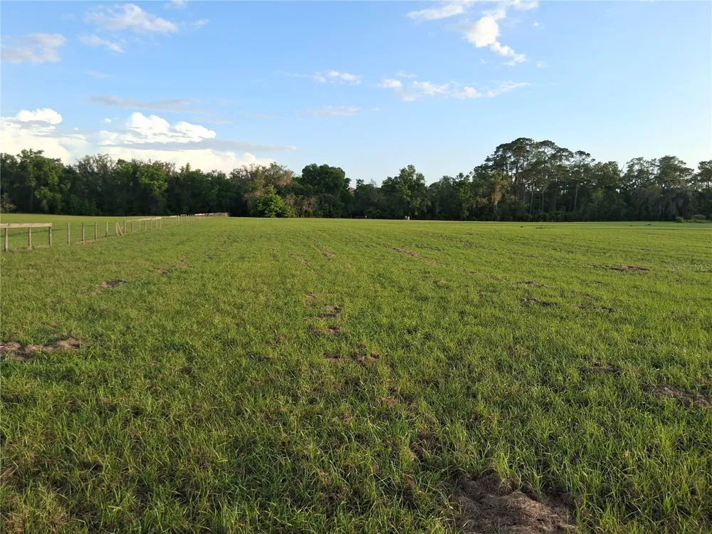 1613 NE 12TH AVENUE Sumterville, FL 33585