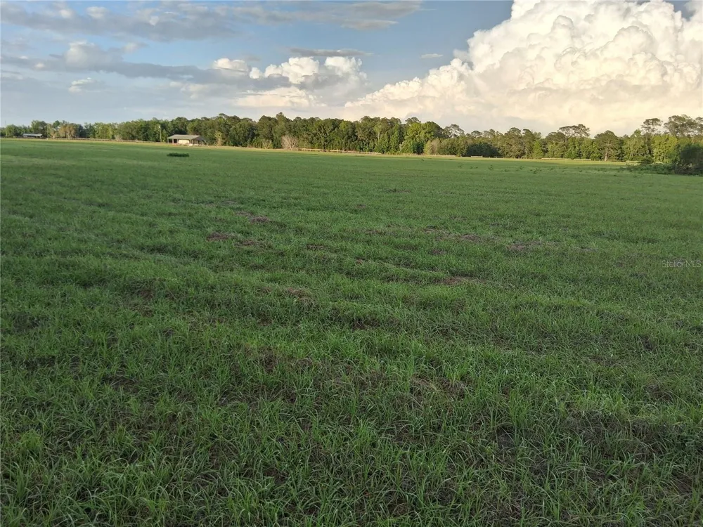 1613 NE 12TH AVENUE Sumterville, FL 33585
