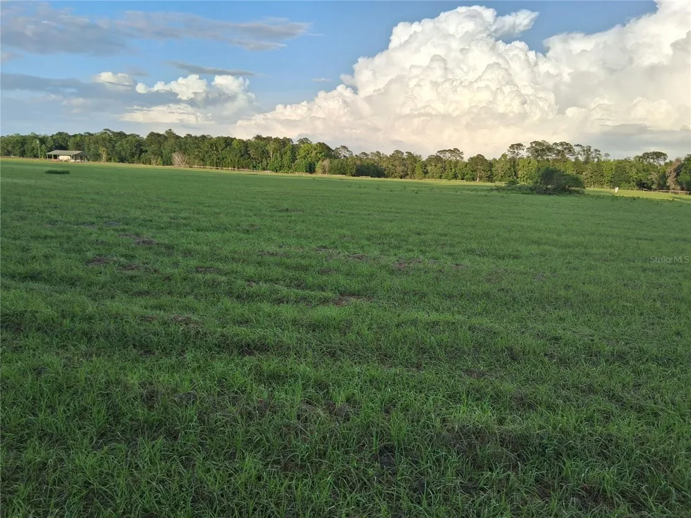 1613 NE 12TH AVENUE Sumterville, FL 33585