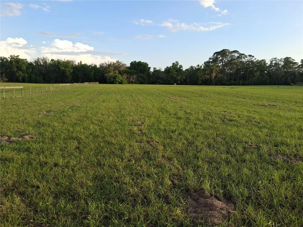 1613 NE 12TH AVENUE Sumterville, FL 33585