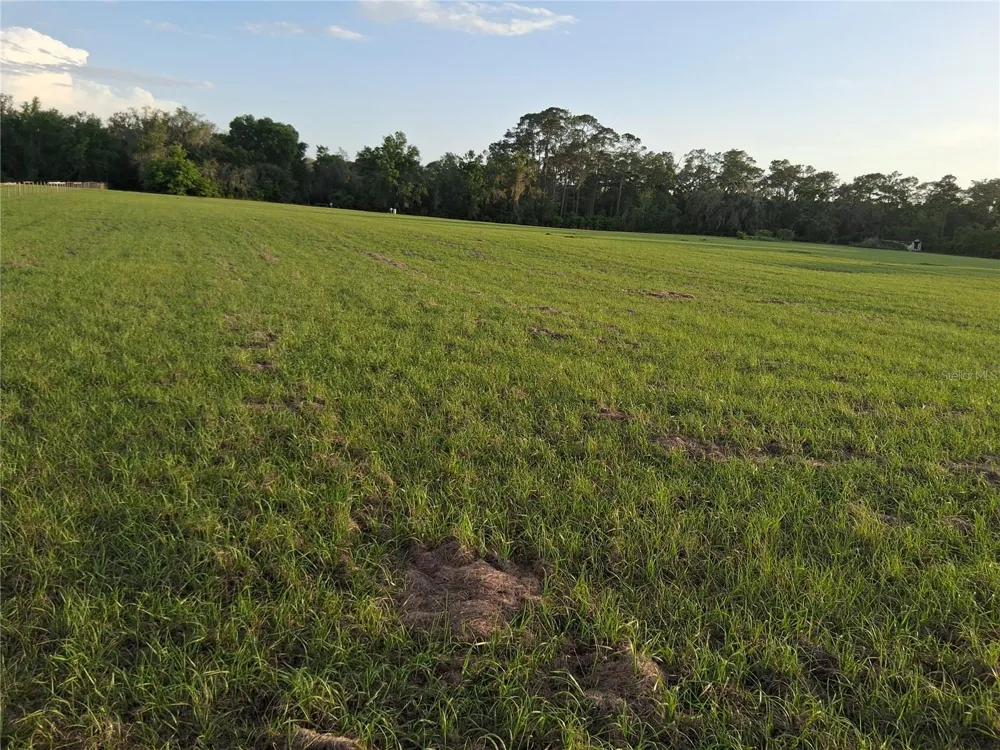 1613 NE 12TH AVENUE Sumterville, FL 33585