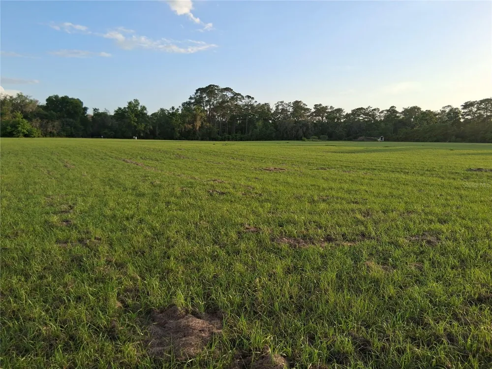 1613 NE 12TH AVENUE Sumterville, FL 33585