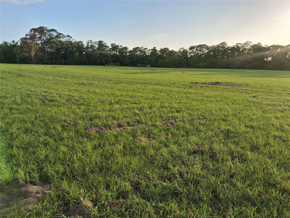 1613 NE 12TH AVENUE Sumterville, FL 33585