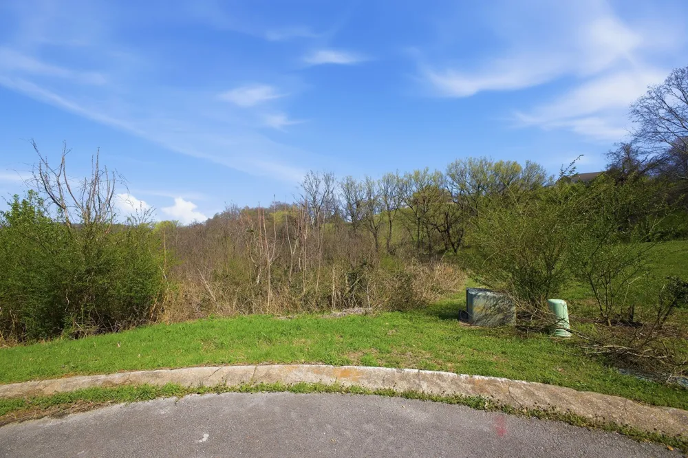 0 Deer Ridge Rd Columbia, TN 38401