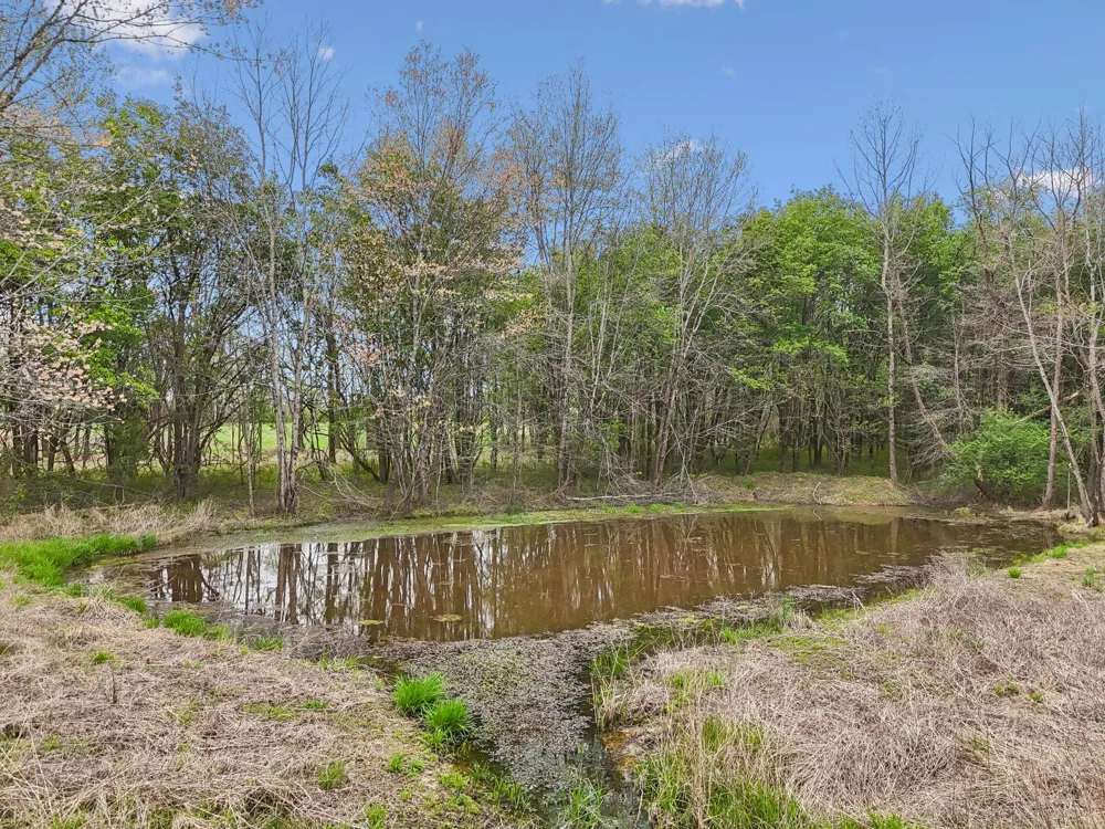 0 Haddon LN Winchester, TN 37398