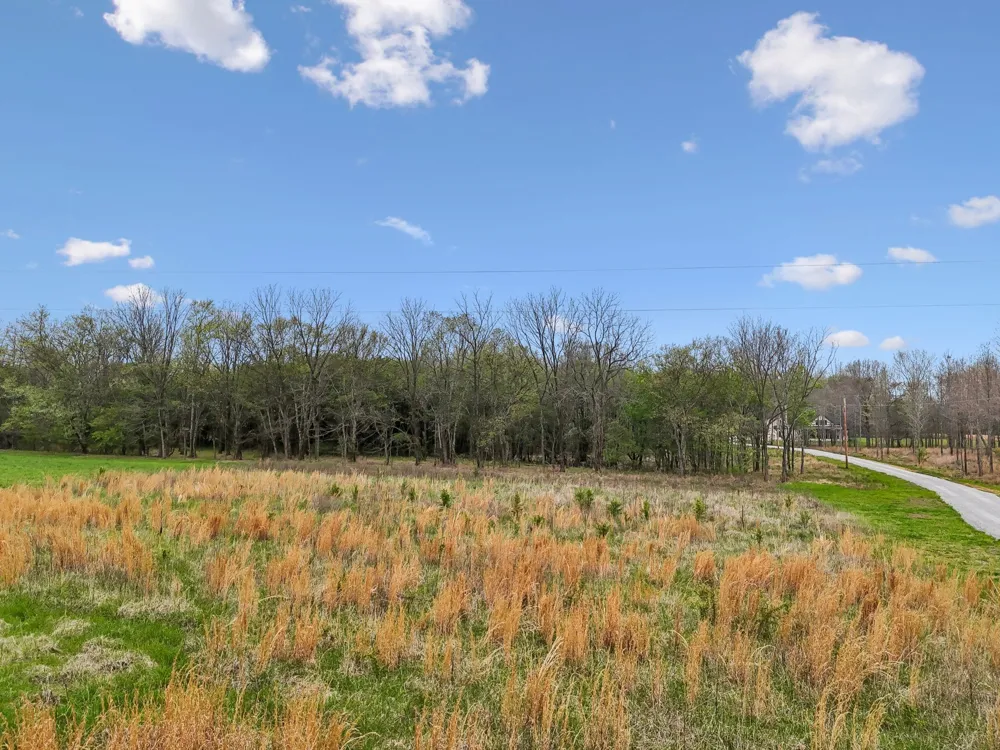0 Haddon LN Winchester, TN 37398