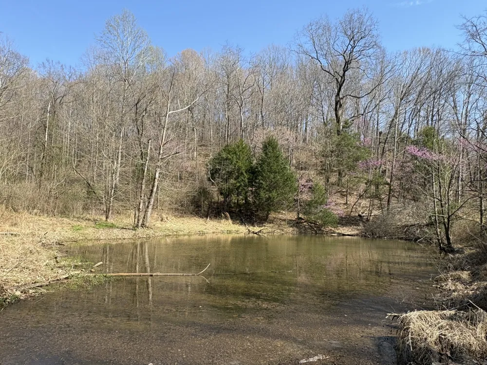 1000 State Route 831 Greenville, KY 42345