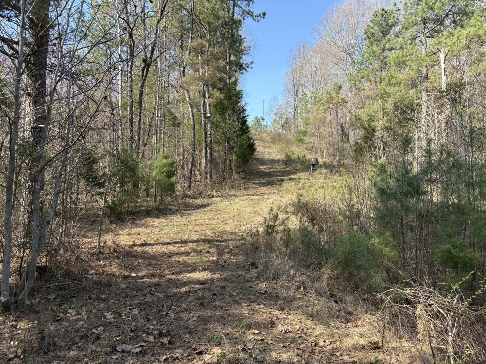 1000 State Route 831 Greenville, KY 42345