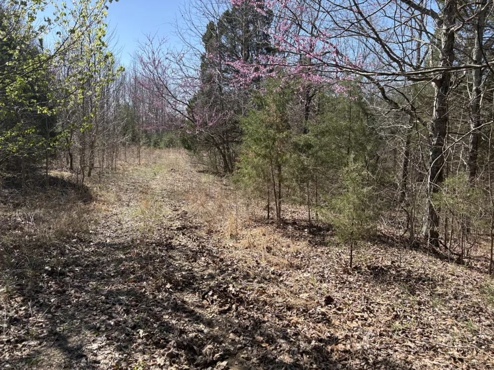 1000 State Route 831 Greenville, KY 42345