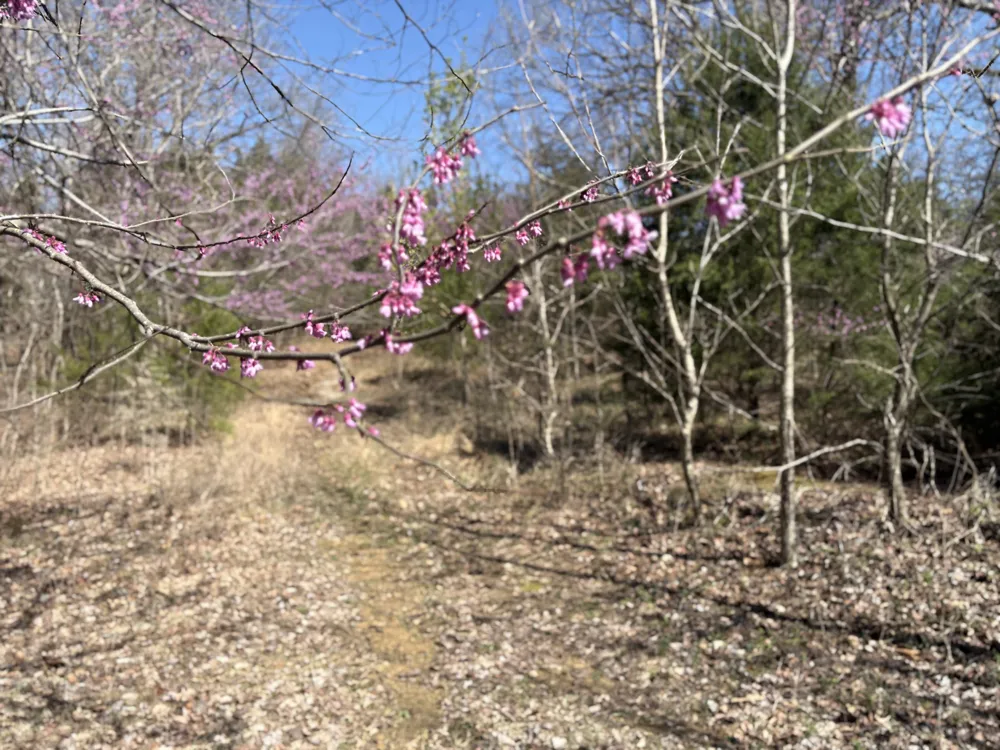 1000 State Route 831 Greenville, KY 42345