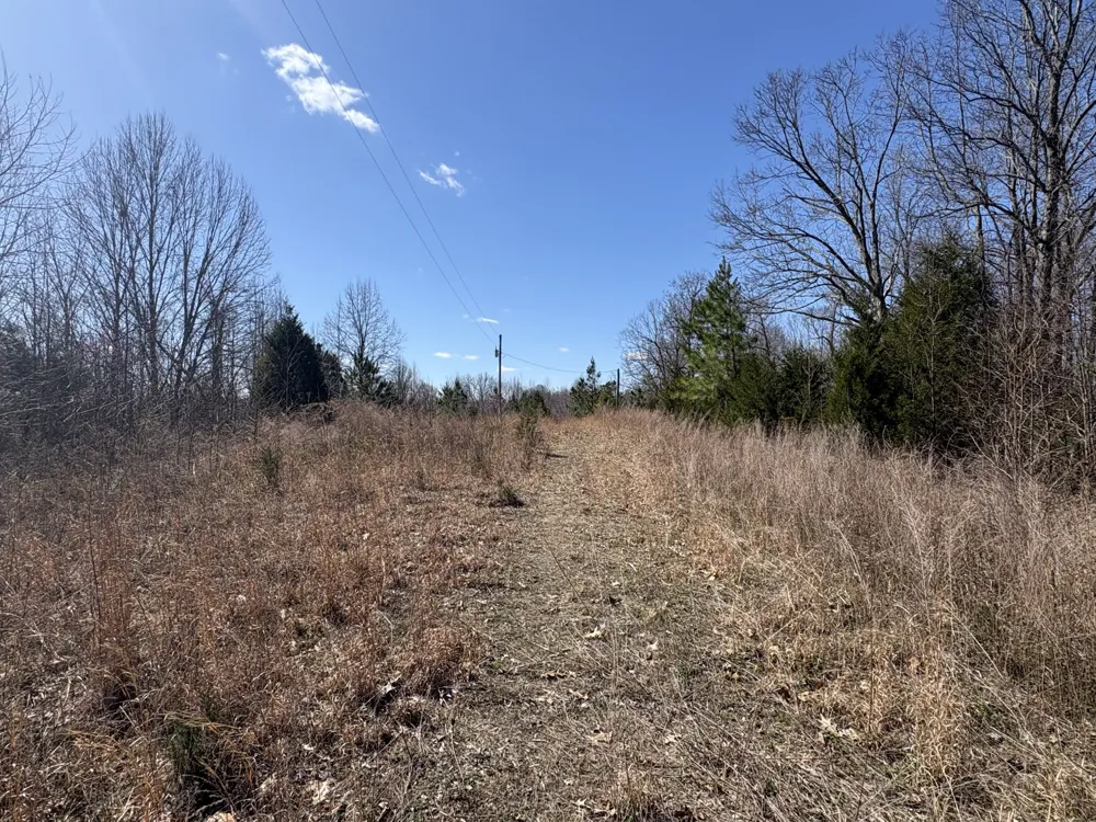 1000 State Route 831 Greenville, KY 42345