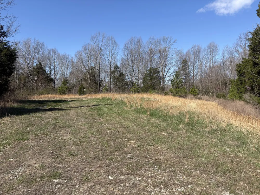 1000 State Route 831 Greenville, KY 42345
