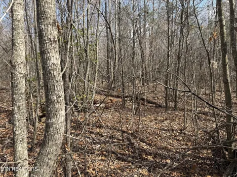 0 Cumberland Lakes Drive