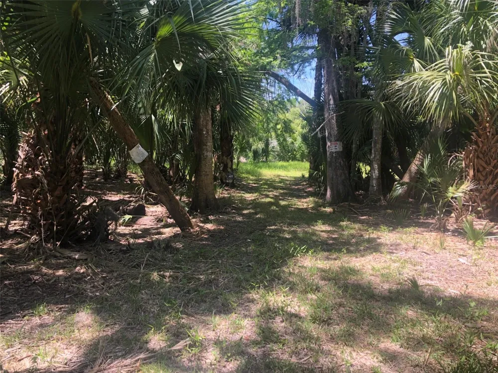 241 NOVA DRIVE Sanford, FL 32771