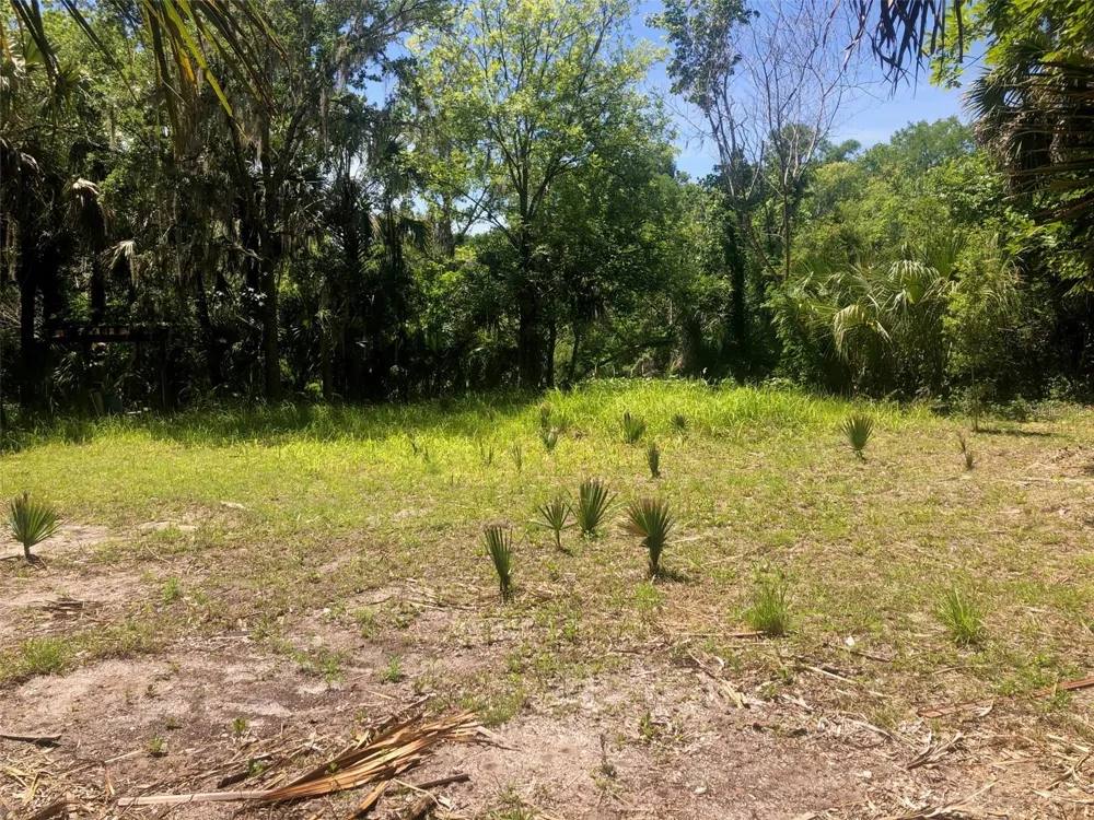 241 NOVA DRIVE Sanford, FL 32771