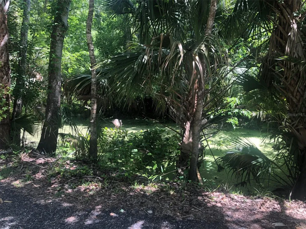 241 NOVA DRIVE Sanford, FL 32771