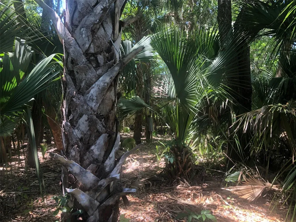 241 NOVA DRIVE Sanford, FL 32771