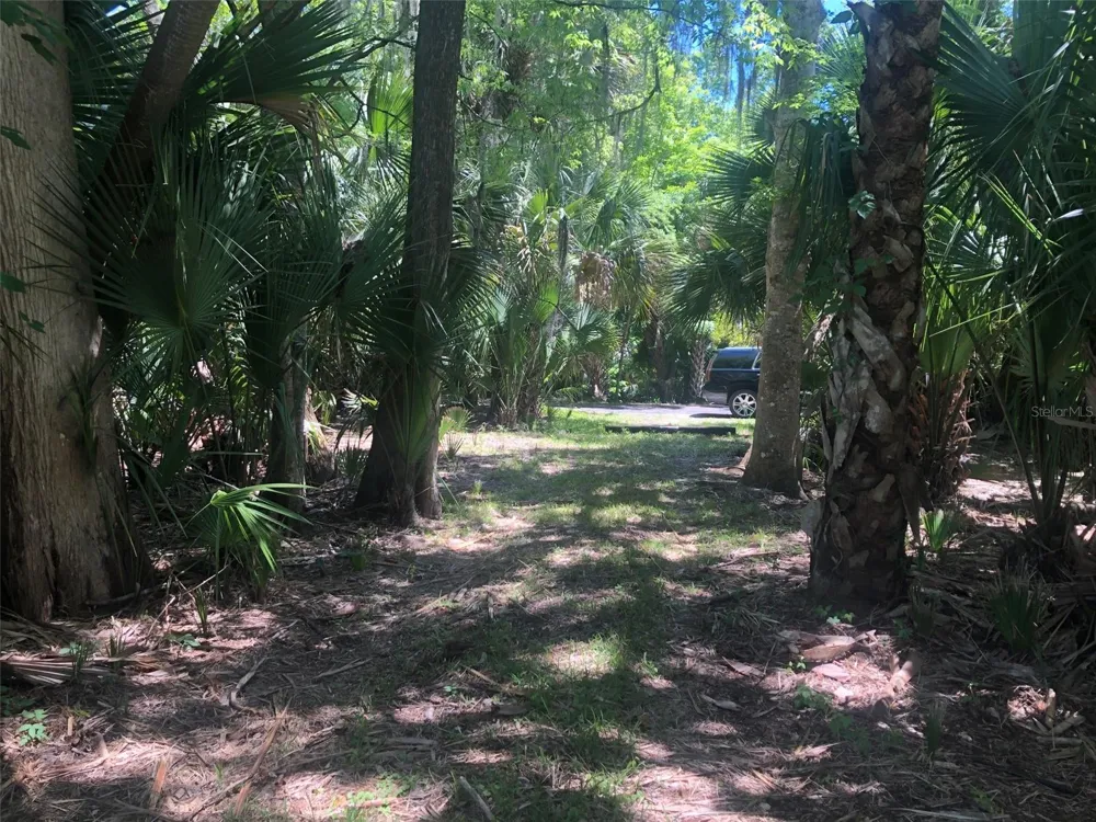 241 NOVA DRIVE Sanford, FL 32771