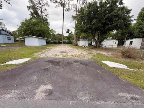 ARMADILLO ROAD