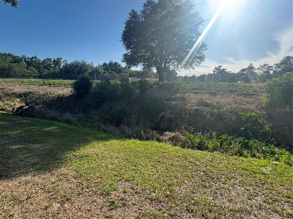 2376 WINDSOR OAKS AVENUE Lutz, FL 33549