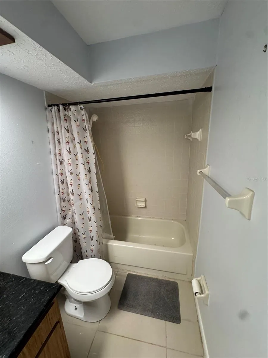 2376 WINDSOR OAKS AVENUE Lutz, FL 33549