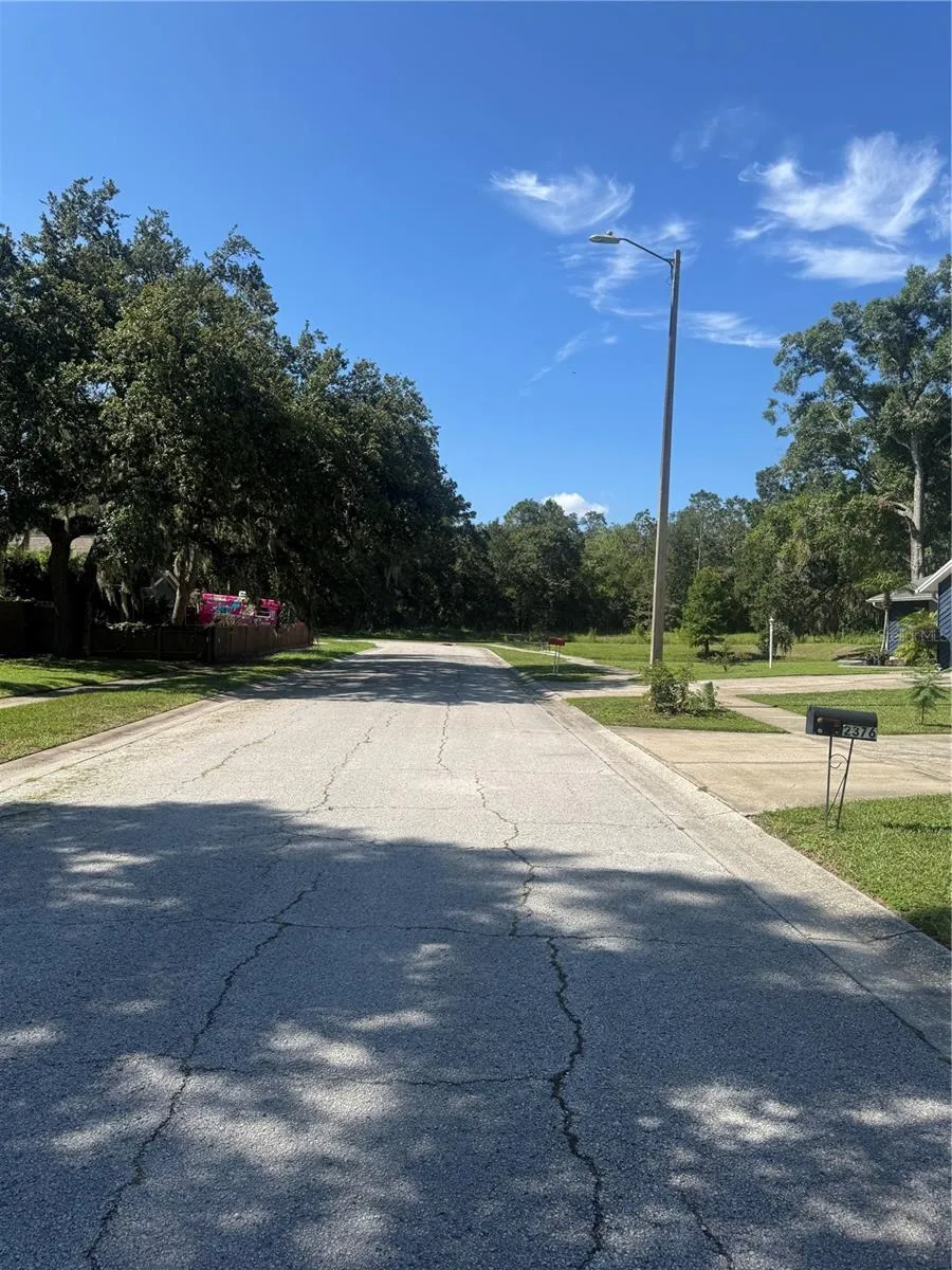 2376 WINDSOR OAKS AVENUE Lutz, FL 33549