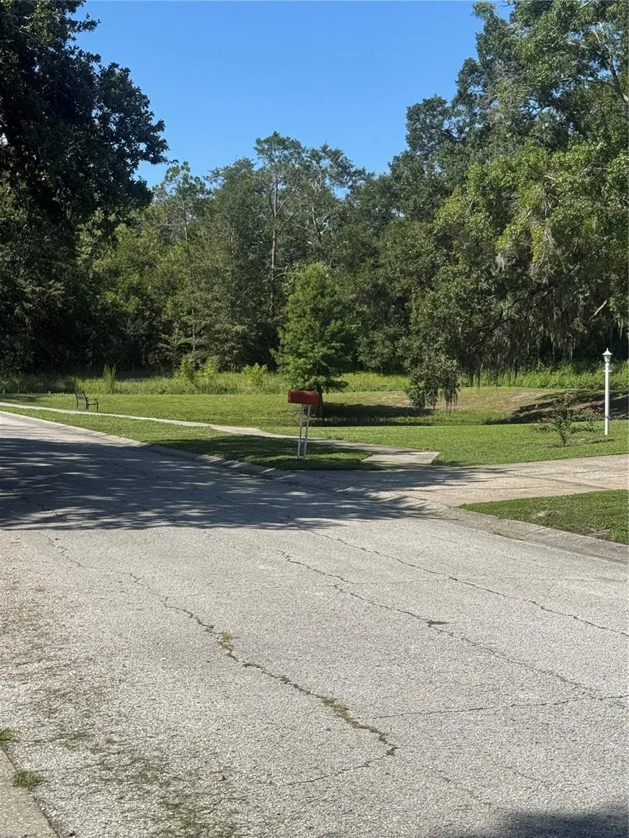 2376 WINDSOR OAKS AVENUE Lutz, FL 33549