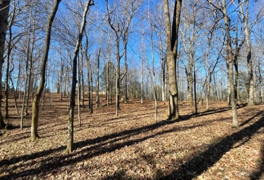 1875 Bakers Grove Rd Hermitage, TN 37076