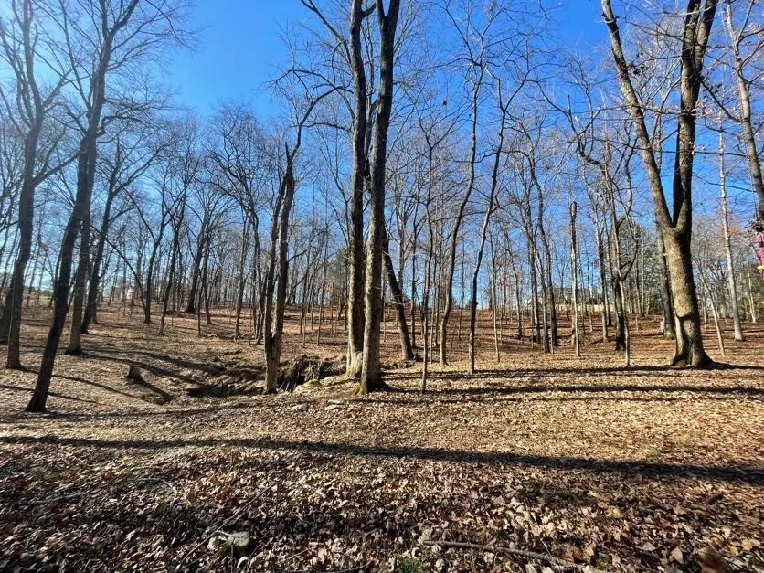1875 Bakers Grove Rd Hermitage, TN 37076
