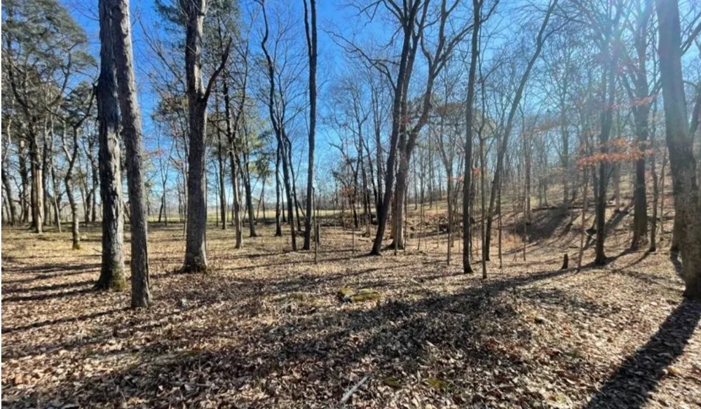 1875 Bakers Grove Rd Hermitage, TN 37076