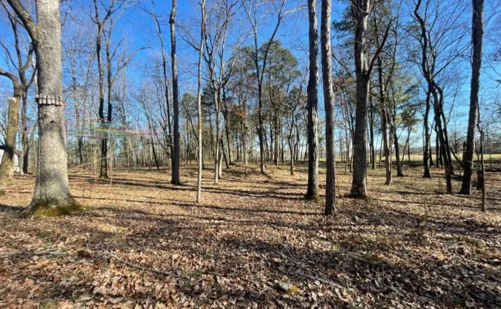 1875 Bakers Grove Rd Hermitage, TN 37076