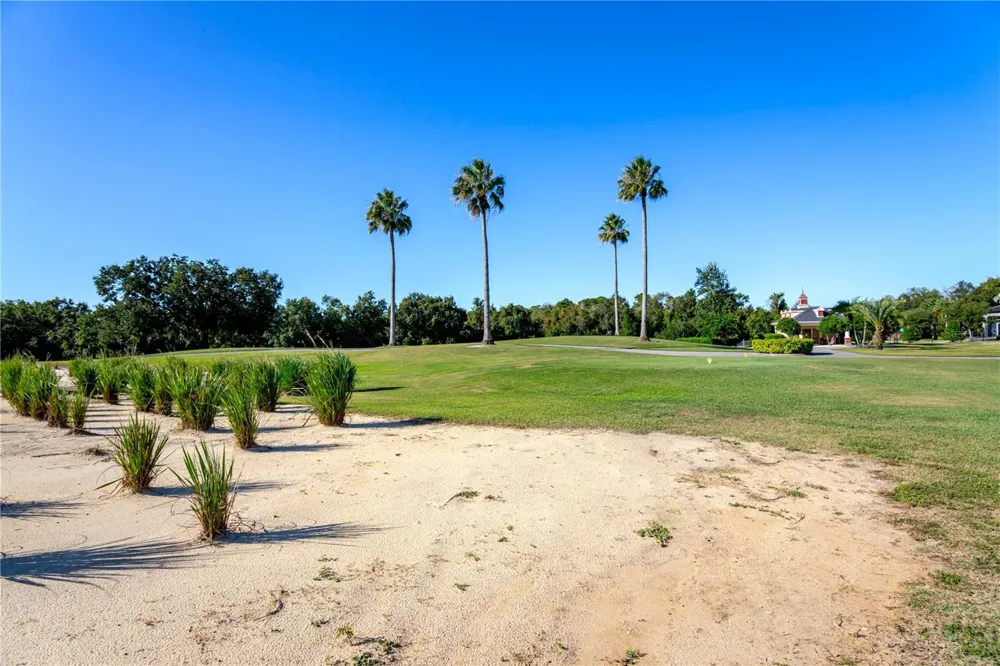 1188 CASTLE PINES COURT Reunion, FL 34747