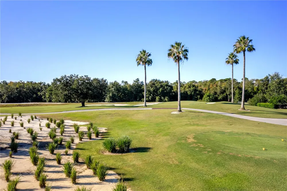 1188 CASTLE PINES COURT Reunion, FL 34747