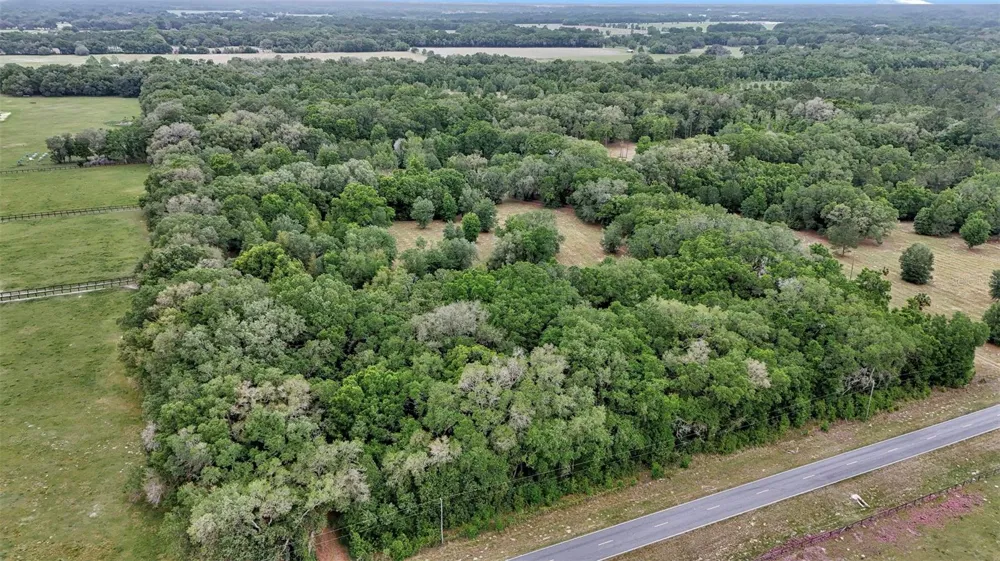 650 NE 200TH AVENUE Williston, FL 32696