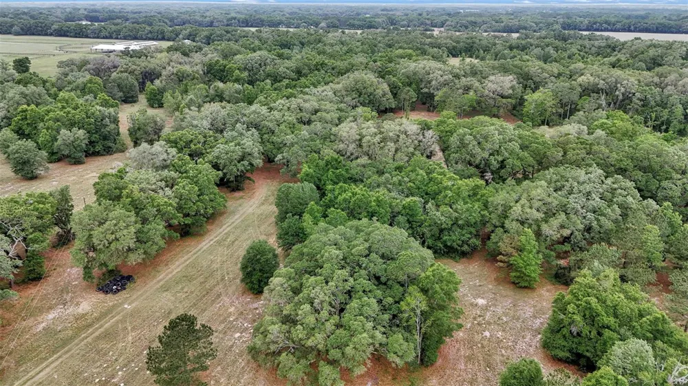 650 NE 200TH AVENUE Williston, FL 32696