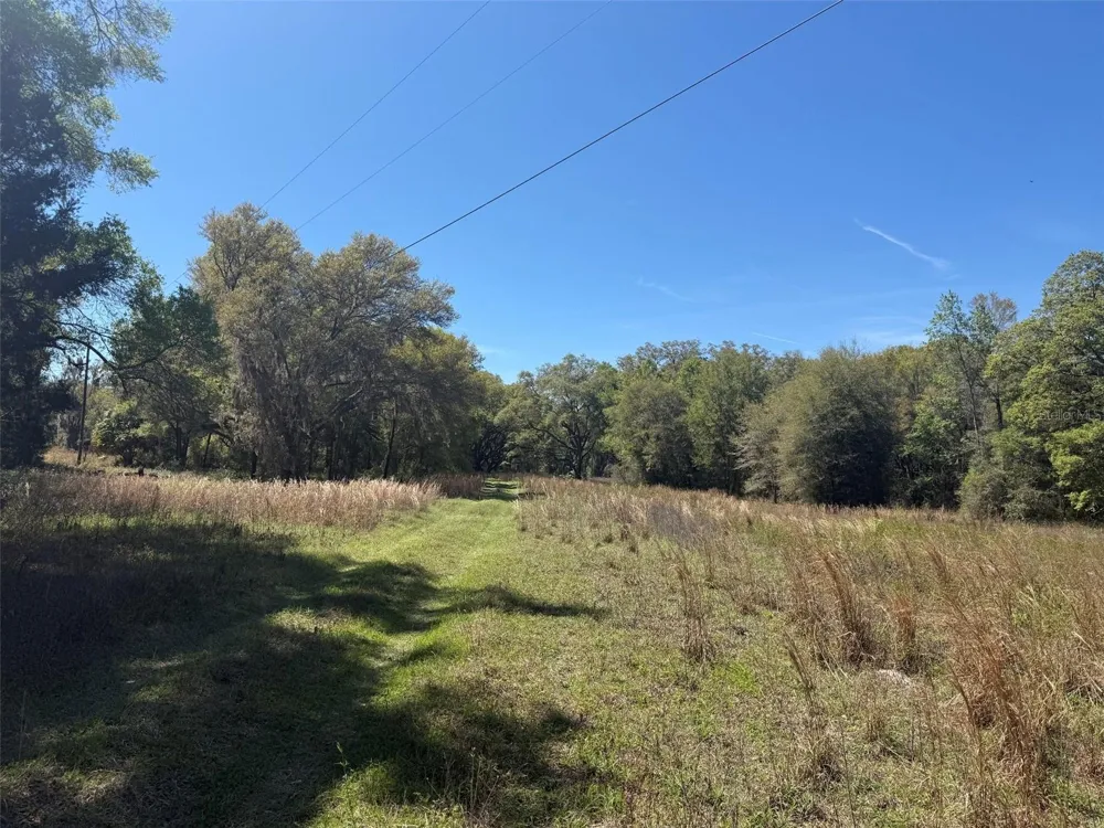 650 NE 200TH AVENUE Williston, FL 32696