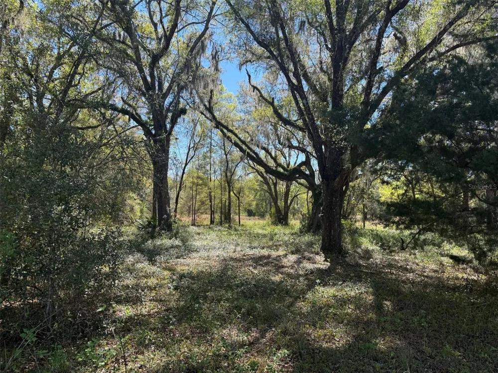 650 NE 200TH AVENUE Williston, FL 32696