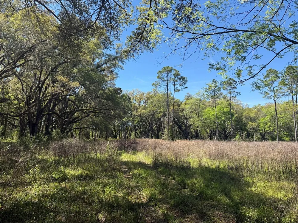 650 NE 200TH AVENUE Williston, FL 32696