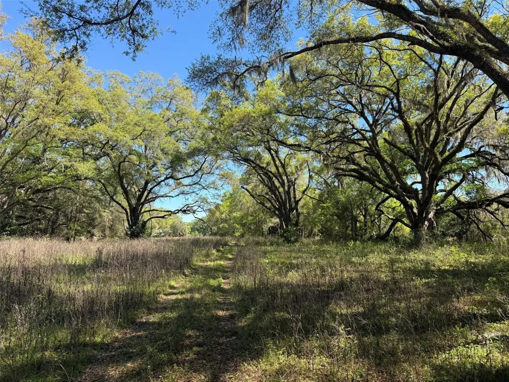 650 NE 200TH AVENUE Williston, FL 32696